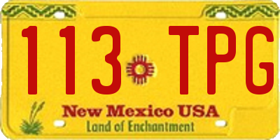 NM license plate 113TPG