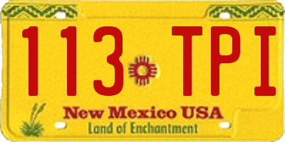 NM license plate 113TPI