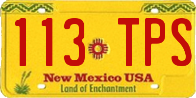 NM license plate 113TPS