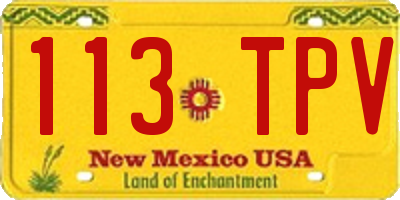 NM license plate 113TPV