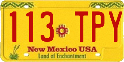 NM license plate 113TPY