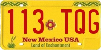 NM license plate 113TQG
