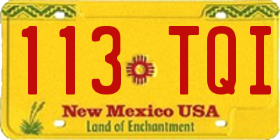 NM license plate 113TQI