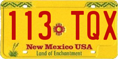 NM license plate 113TQX
