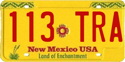 NM license plate 113TRA