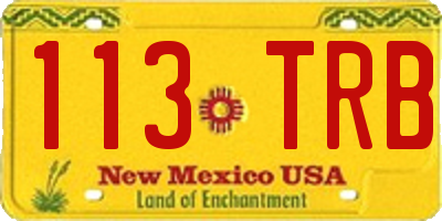 NM license plate 113TRB