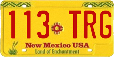 NM license plate 113TRG