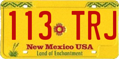 NM license plate 113TRJ