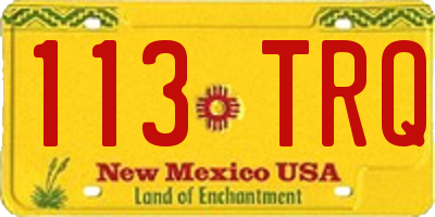 NM license plate 113TRQ