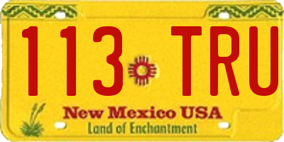 NM license plate 113TRU