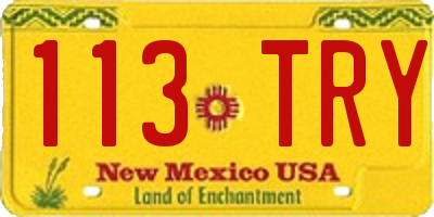 NM license plate 113TRY