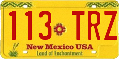 NM license plate 113TRZ