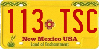 NM license plate 113TSC