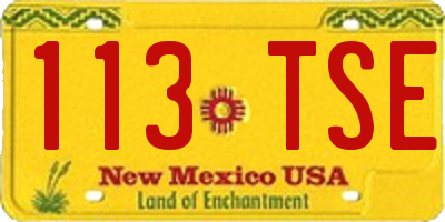 NM license plate 113TSE