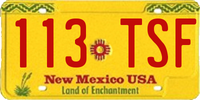 NM license plate 113TSF