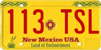 NM license plate 113TSL