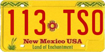 NM license plate 113TSO