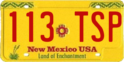 NM license plate 113TSP