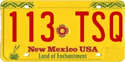 NM license plate 113TSQ