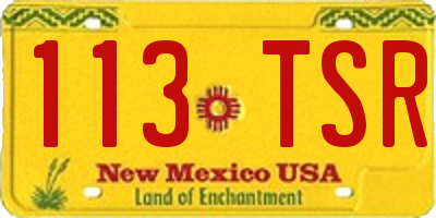 NM license plate 113TSR