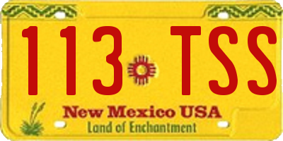 NM license plate 113TSS
