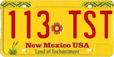 NM license plate 113TST