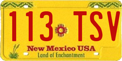 NM license plate 113TSV