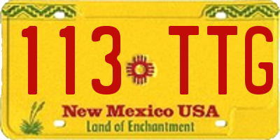 NM license plate 113TTG