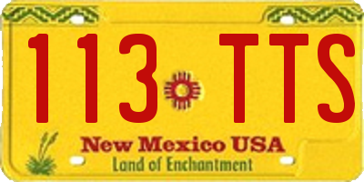 NM license plate 113TTS