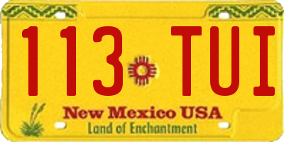 NM license plate 113TUI