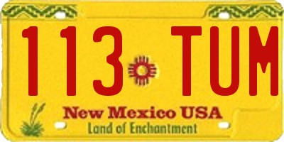 NM license plate 113TUM