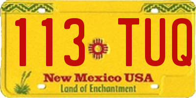 NM license plate 113TUQ