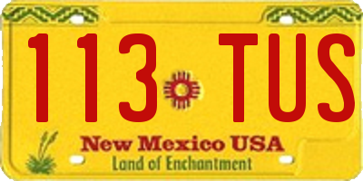 NM license plate 113TUS