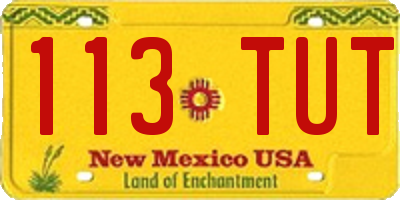 NM license plate 113TUT