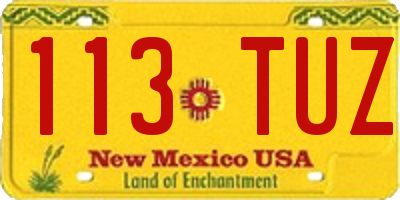 NM license plate 113TUZ
