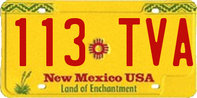 NM license plate 113TVA