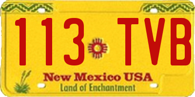 NM license plate 113TVB