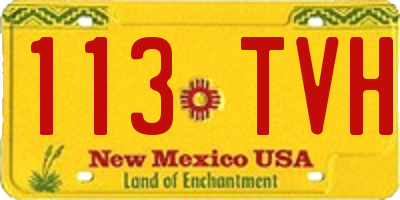 NM license plate 113TVH