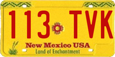 NM license plate 113TVK