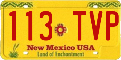NM license plate 113TVP