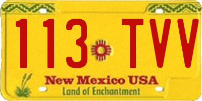 NM license plate 113TVV