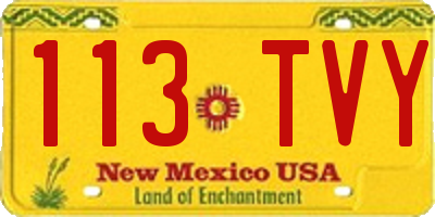 NM license plate 113TVY