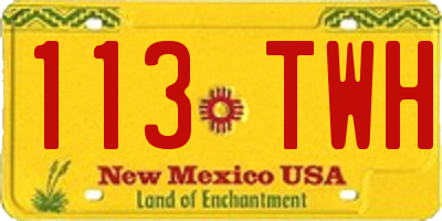 NM license plate 113TWH