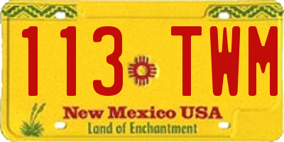 NM license plate 113TWM