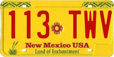 NM license plate 113TWV