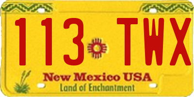 NM license plate 113TWX