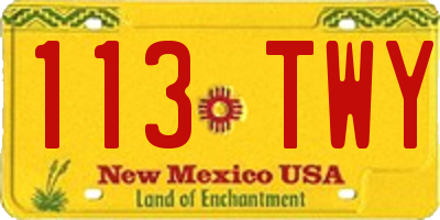 NM license plate 113TWY