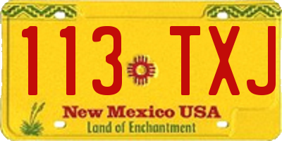 NM license plate 113TXJ