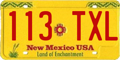 NM license plate 113TXL