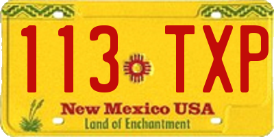 NM license plate 113TXP
